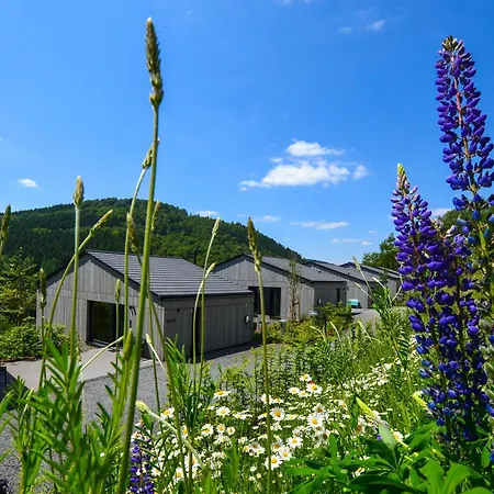 Sauerland Lodge - Haus Luise Winterberg Zewnętrze zdjęcie